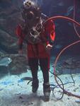 IMG_2792 IMG_2792