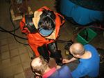 IMG_2806 IMG_2806