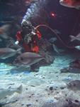IMG_2849 IMG_2849
