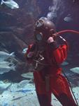 IMG_2852 IMG_2852