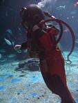 IMG_2866 IMG_2866