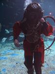 IMG_2867 IMG_2867