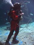 IMG_2868 IMG_2868