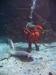 IMG_2872 IMG_2872