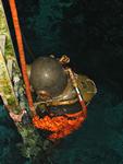 IMG_2877 IMG_2877