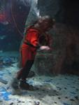 IMG_3010 IMG_3010