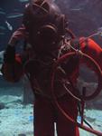 IMG_3011 IMG_3011