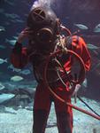 IMG_3012 IMG_3012