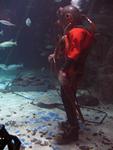 IMG_3017 IMG_3017