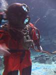 IMG_3029 IMG_3029