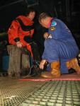 IMG_2895 IMG_2895