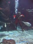IMG_2940 IMG_2940