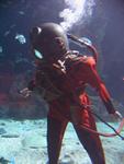 IMG_2958 IMG_2958