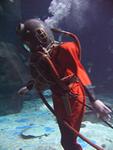IMG_2960 IMG_2960