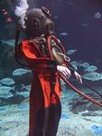 IMG_2961 IMG_2961