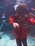 IMG_3070 IMG_3070