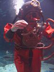 IMG_3071 IMG_3071