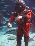 IMG_3075 IMG_3075