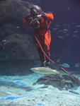 IMG_3079 IMG_3079