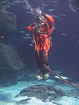 IMG_3081 IMG_3081
