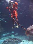 IMG_3082 IMG_3082