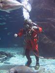 IMG_3086 IMG_3086