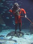 IMG_3097 IMG_3097
