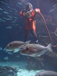 IMG_3099 IMG_3099