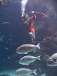 IMG_3100 IMG_3100