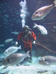 IMG_3101 IMG_3101