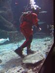 IMG_3155 IMG_3155