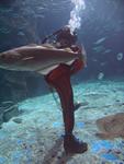 IMG_3158 IMG_3158