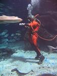 IMG_3169 IMG_3169