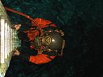 IMG_3229 IMG_3229