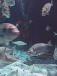 IMG_3230 IMG_3230