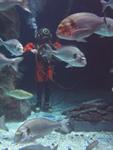 IMG_3231 IMG_3231