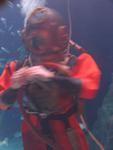 IMG_3237 IMG_3237