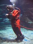 IMG_3240 IMG_3240