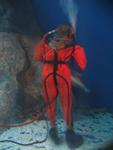 IMG_3241 IMG_3241