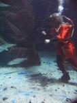 IMG_3244 IMG_3244