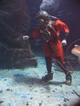 IMG_3246 IMG_3246