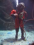 IMG_3248 IMG_3248