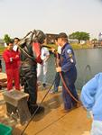 IMG_3431 IMG_3431