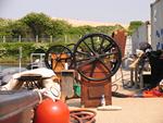 IMG_3501 IMG_3501