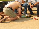 IMG_3649 IMG_3649