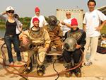 IMG_3716 IMG_3716