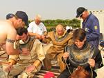 IMG_3722 IMG_3722