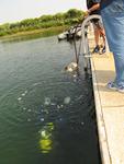 IMG_3557 IMG_3557