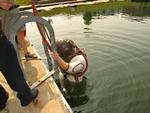 IMG_3682 IMG_3682