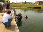 IMG_3621 IMG_3621